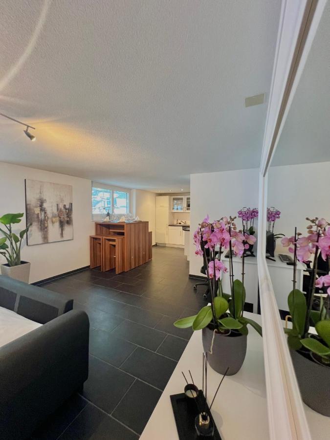The R Apartment Froburg, Parking, Netflix, Golfplatz Obergosgen Εξωτερικό φωτογραφία