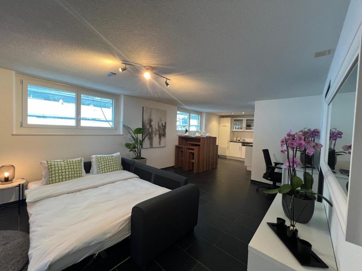 The R Apartment Froburg, Parking, Netflix, Golfplatz Obergosgen Εξωτερικό φωτογραφία
